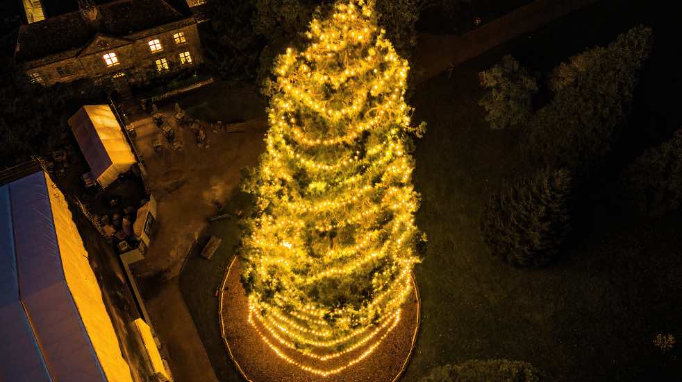 Glow Wild Christmas tree